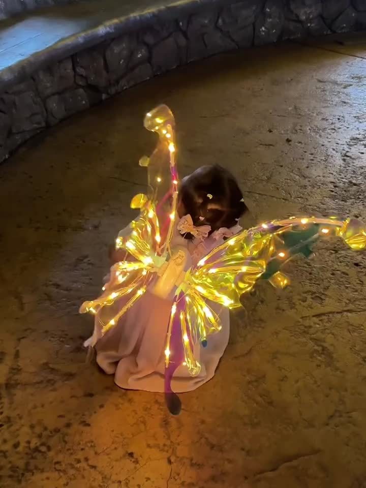 Alas Mágicas con Luz para Niñas y Perros