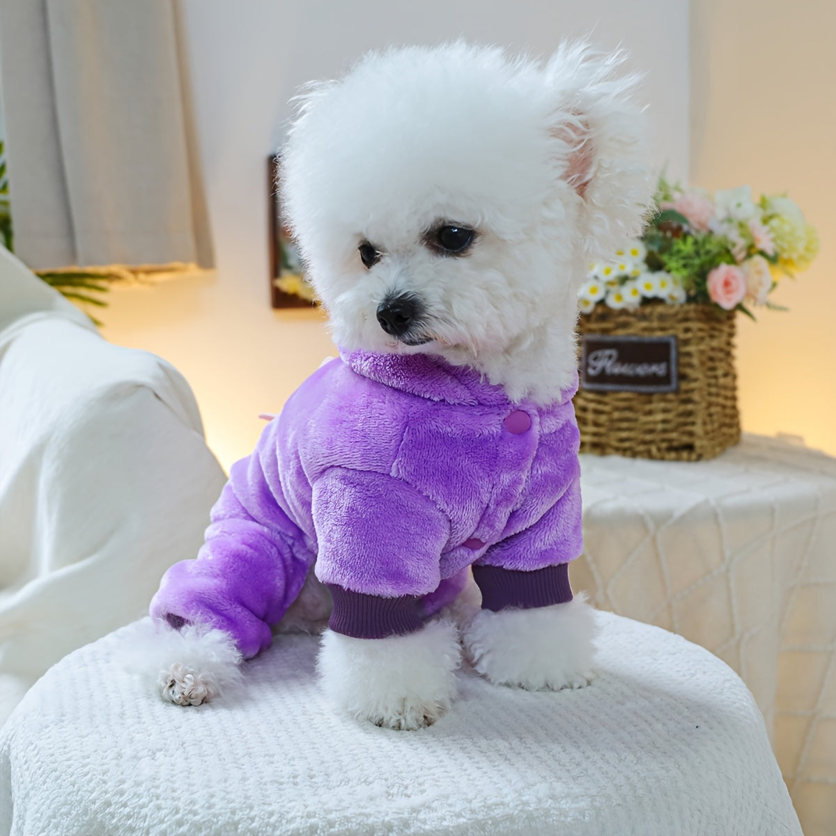 Disfraz Dinosaurio Franela para Perro