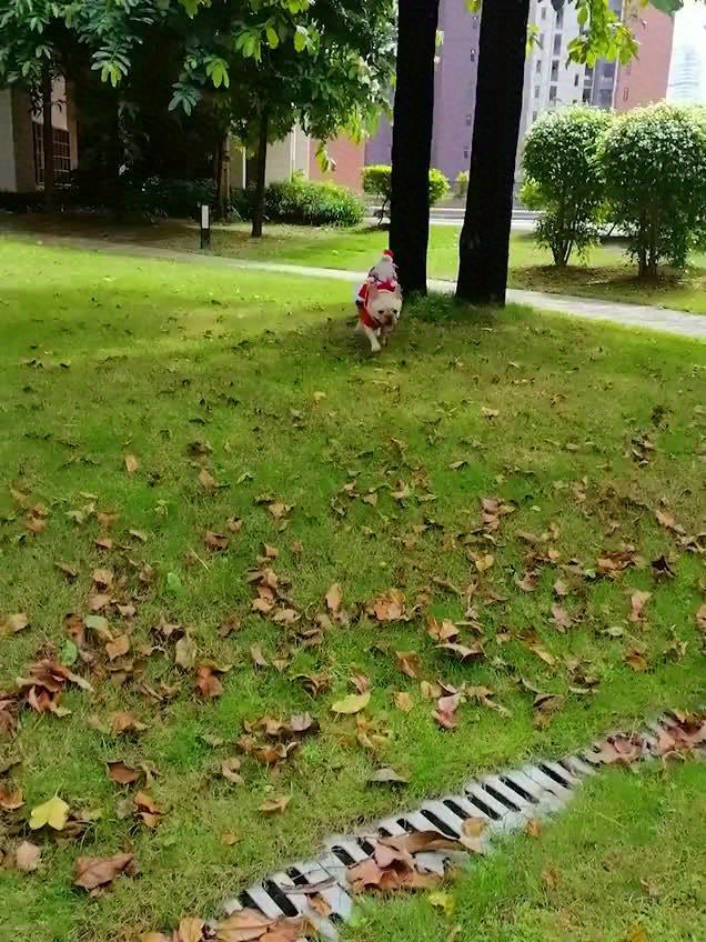 Disfraz Navideño Santa para Perros XL