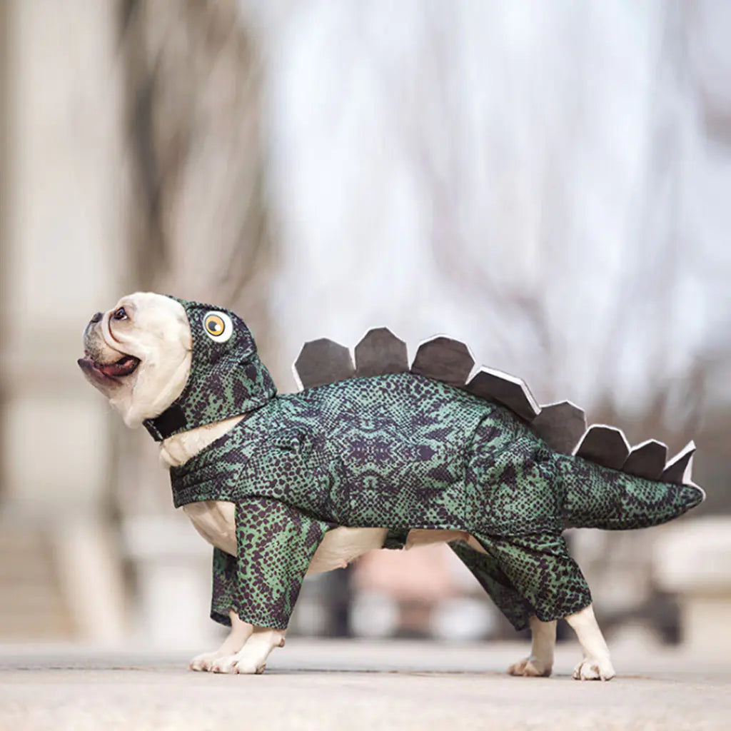 Funny Dinosaur Costume for Pets - Dog Apparel
