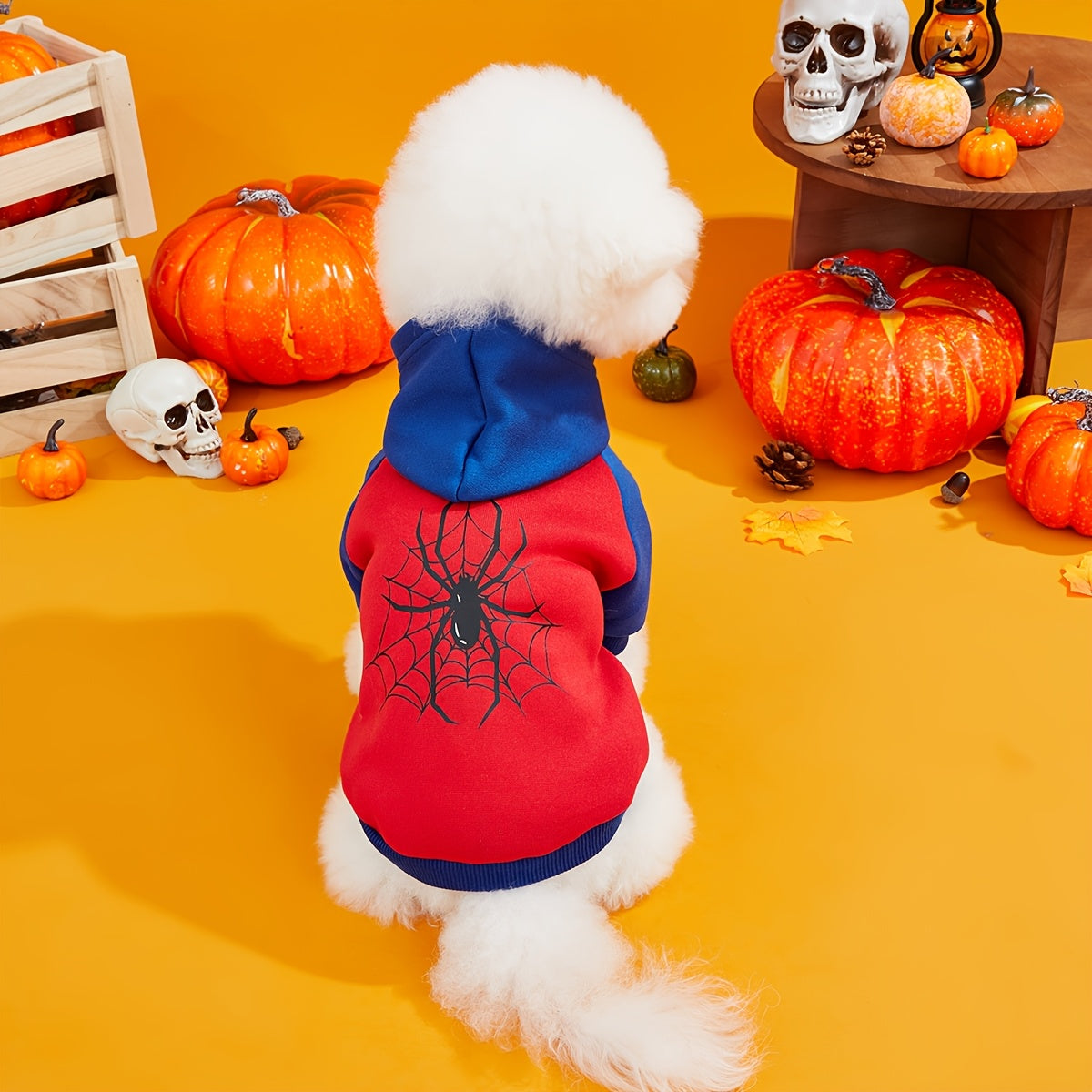 Sudadera Halloween Araña Mascotas