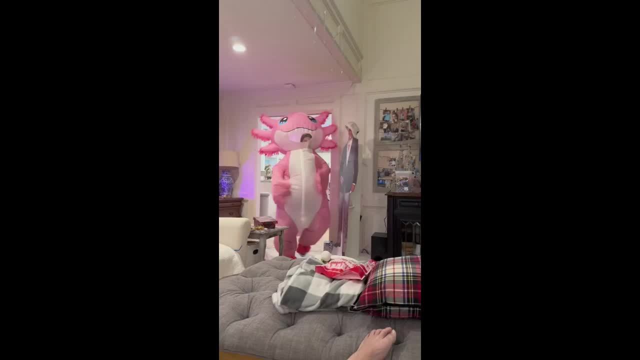 Disfraces inflables de ajolote