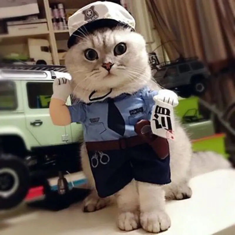 Funny Pet Costumes and Apparel for Pets