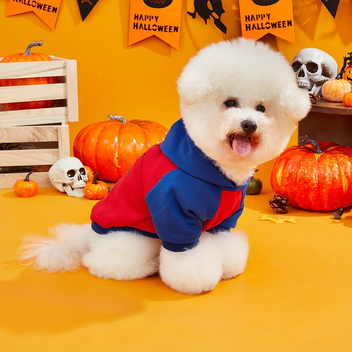 Sudadera Halloween Araña Mascotas