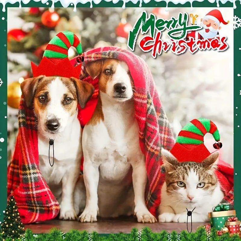 Set navideño para perro (2 piezas)