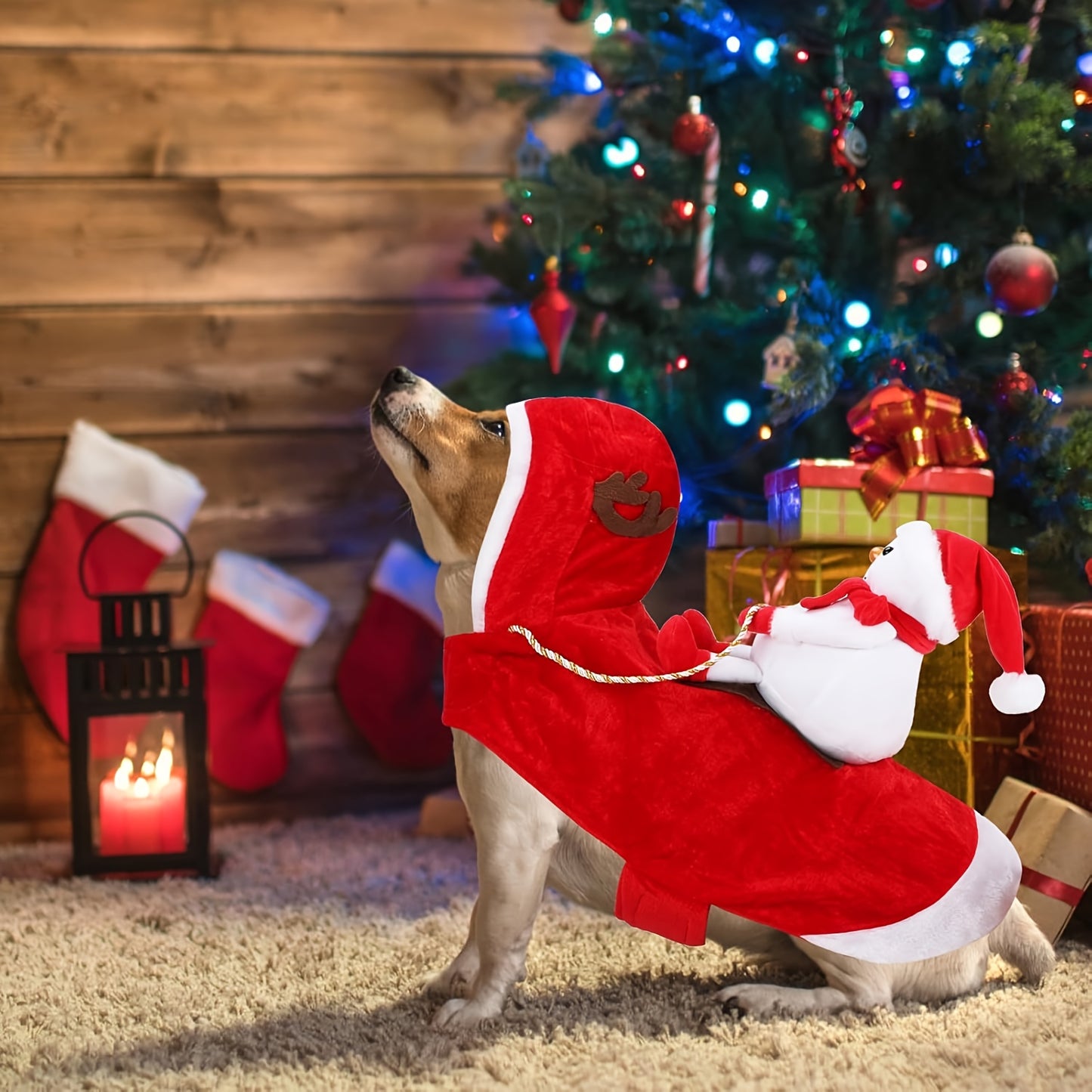 Disfraz Navideño Santa para Perros XL