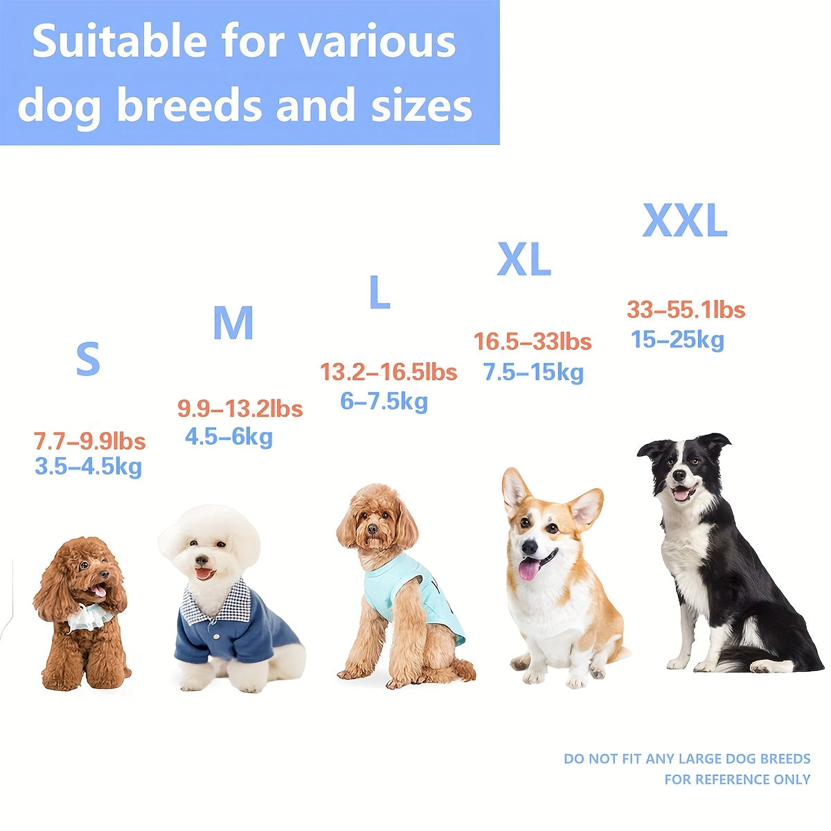 Sudadera Paiaite con Capucha y Bolsillo