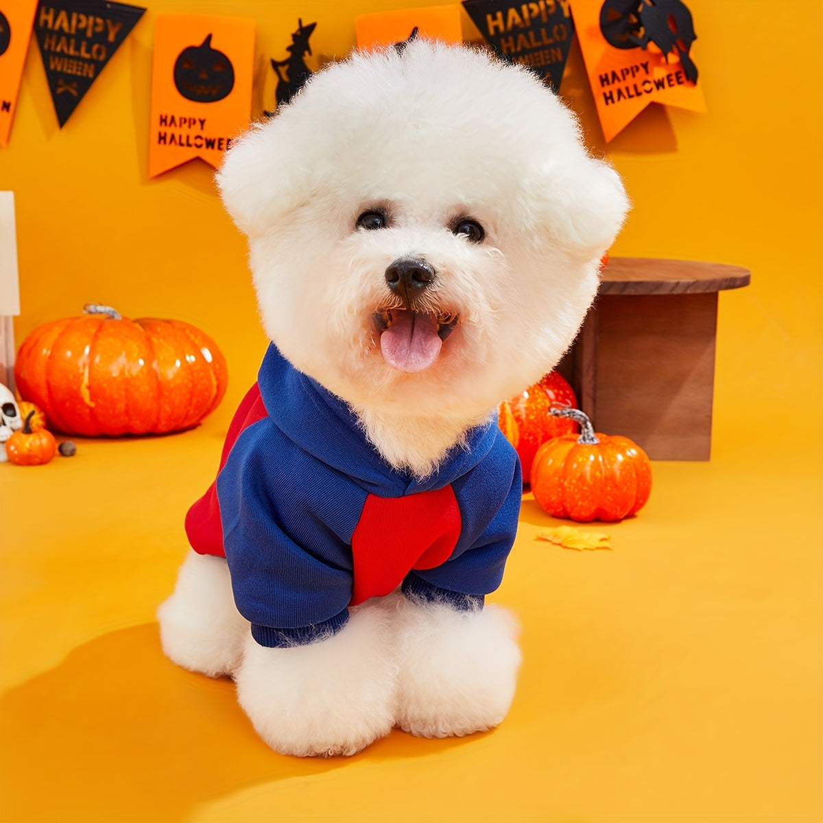 Sudadera Halloween Araña Mascotas