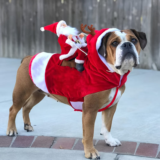 Disfraz Navideño Santa para Perros XL